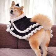 ヒメ日記 2025/12/25 12:32 投稿 りょうか 吉原ファーストレディ