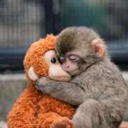 ヒメ日記 2026/03/18 15:26 投稿 りょうか 吉原ファーストレディ