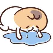 ヒメ日記 2026/01/11 04:48 投稿 ようこ 吉原ファーストレディ