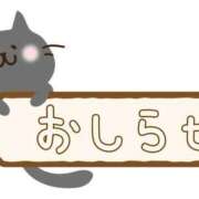 ヒメ日記 2024/11/04 06:38 投稿 かいり 吉原ファーストレディ