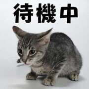 ヒメ日記 2025/01/10 22:14 投稿 かいり 吉原ファーストレディ