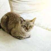 ヒメ日記 2025/01/21 23:56 投稿 かいり 吉原ファーストレディ