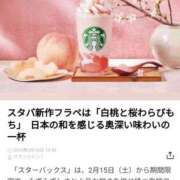 ヒメ日記 2025/02/15 23:26 投稿 かいり 吉原ファーストレディ