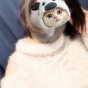 ヒメ日記 2025/03/08 09:42 投稿 かいり 吉原ファーストレディ