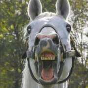 ヒメ日記 2025/04/04 22:12 投稿 かいり 吉原ファーストレディ