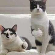 ヒメ日記 2025/04/09 00:00 投稿 かいり 吉原ファーストレディ