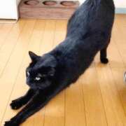 ヒメ日記 2025/04/21 23:56 投稿 かいり 吉原ファーストレディ