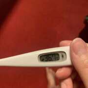 ヒメ日記 2025/01/27 10:21 投稿 ゆずは MIKADO