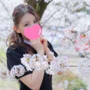 ヒメ日記 2025/02/27 20:08 投稿 ゆずは MIKADO