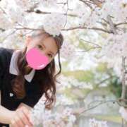 ヒメ日記 2025/03/07 18:21 投稿 ゆずは MIKADO