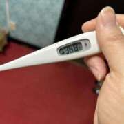 ヒメ日記 2025/03/23 17:34 投稿 ゆずは MIKADO