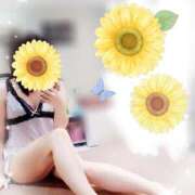 ヒメ日記 2025/04/09 21:31 投稿 みなみ 吉原ファーストレディ