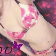 ヒメ日記 2025/02/17 09:46 投稿 りょう 吉原ファーストレディ