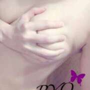 ヒメ日記 2025/06/22 15:06 投稿 りょう 吉原ファーストレディ