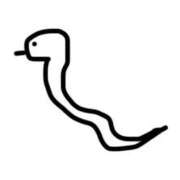 ヒメ日記 2025/01/10 22:14 投稿 かざみ 吉原ファーストレディ