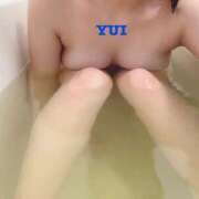 ヒメ日記 2025/12/29 20:36 投稿 ゆい 吉原ファーストレディ