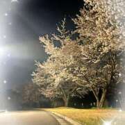 ヒメ日記 2025/04/19 19:09 投稿 ゆずゆ 吉原ファーストレディ