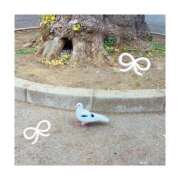 ヒメ日記 2025/11/11 22:56 投稿 しえみ 吉原ファーストレディ