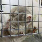 ヒメ日記 2025/02/18 21:26 投稿 ゆずは 吉原ファーストレディ