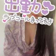 なごみ 出勤しました🩷 吉原ファーストレディ