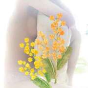 ヒメ日記 2024/12/13 17:26 投稿 るり 吉原ファーストレディ