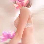 ヒメ日記 2025/01/29 09:17 投稿 るり 吉原ファーストレディ