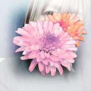 ヒメ日記 2025/02/03 10:17 投稿 るり 吉原ファーストレディ