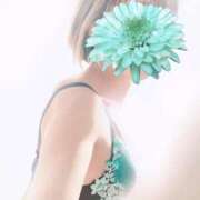 ヒメ日記 2025/02/14 08:46 投稿 るり 吉原ファーストレディ