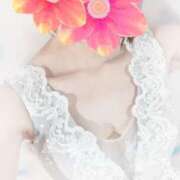 ヒメ日記 2025/07/22 09:58 投稿 るり 吉原ファーストレディ