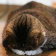 ヒメ日記 2025/08/15 18:36 投稿 るり 吉原ファーストレディ