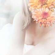 ヒメ日記 2025/09/12 12:16 投稿 るり 吉原ファーストレディ