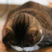 るり あした🙇‍♀️ 吉原ファーストレディ