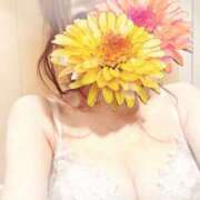 ヒメ日記 2026/03/30 09:28 投稿 るり 吉原ファーストレディ