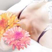 ヒメ日記 2026/03/31 13:36 投稿 るり 吉原ファーストレディ