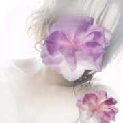 ヒメ日記 2026/03/31 18:46 投稿 るり 吉原ファーストレディ