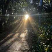 ヒメ日記 2024/12/29 08:39 投稿 えま 吉原ファーストレディ