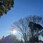 ヒメ日記 2025/02/01 12:17 投稿 えま 吉原ファーストレディ