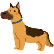 ヒメ日記 2025/05/27 15:36 投稿 みどり 吉原ファーストレディ