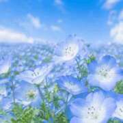ヒメ日記 2026/04/28 20:46 投稿 みどり 吉原ファーストレディ