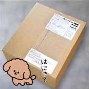 きき 取り急ぎ！ 吉原ファーストレディ