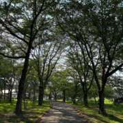 ヒメ日記 2025/06/04 10:07 投稿 まりあ 吉原ファーストレディ