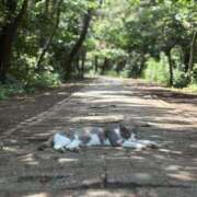 ヒメ日記 2025/07/21 09:03 投稿 まりあ 吉原ファーストレディ