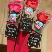 ヒメ日記 2026/03/13 08:26 投稿 まりあ 吉原ファーストレディ