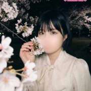 ヒメ日記 2026/04/15 10:16 投稿 まりあ 吉原ファーストレディ