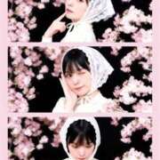 ヒメ日記 2026/04/17 17:46 投稿 まりあ 吉原ファーストレディ