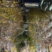 ヒメ日記 2025/02/16 00:06 投稿 ひなの 吉原ファーストレディ