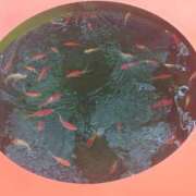 ヒメ日記 2025/09/14 23:26 投稿 みはる 吉原ファーストレディ