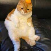 ヒメ日記 2024/12/30 08:46 投稿 ゆるの 吉原ファーストレディ