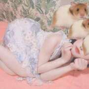 ヒメ日記 2025/02/04 18:09 投稿 いつき 吉原ファーストレディ