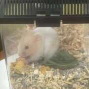 ヒメ日記 2025/10/19 03:08 投稿 いつき 吉原ファーストレディ